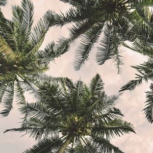 Meet your Posher, Amina